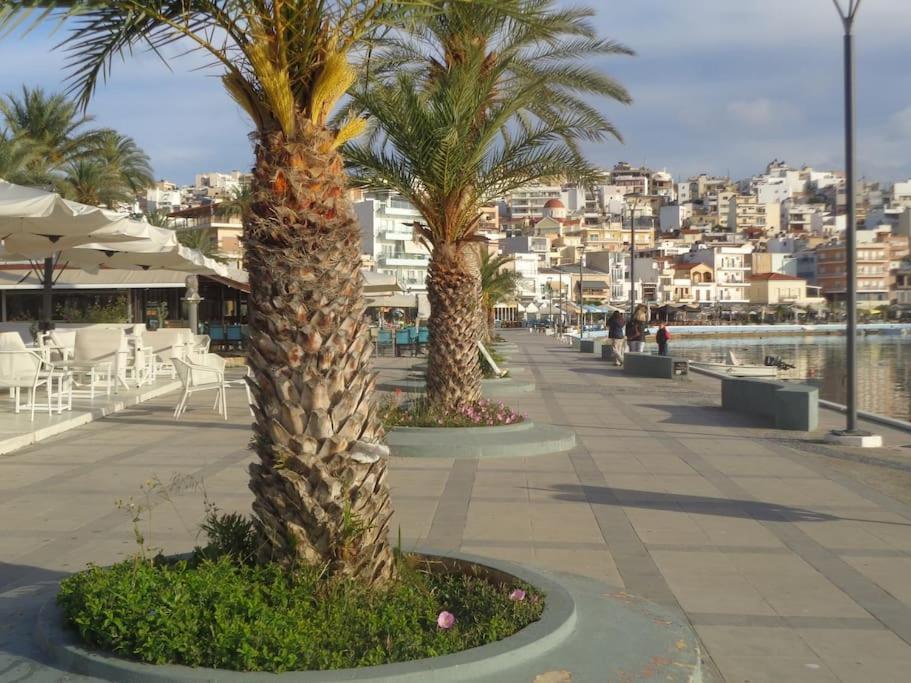 Seashell Apartment Sea View, Castle View 200Metres From The Beach Sitia  Eksteriør billede